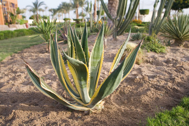 Similar image 1017147