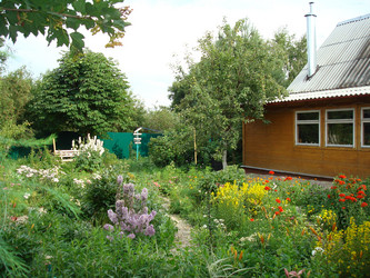 Similar image 1017163