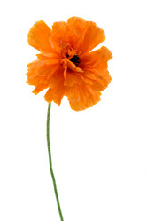 Similar image 1017209