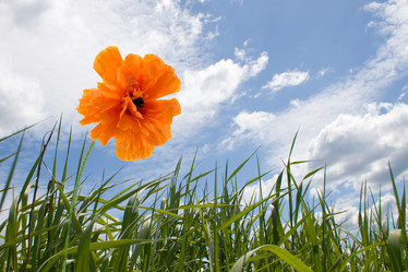 Similar image 1017210