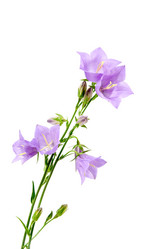 Similar image 1017212