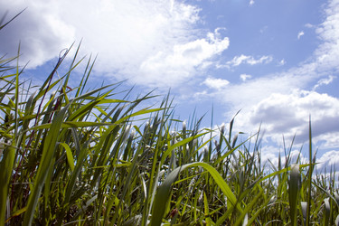 Similar image 1017213