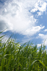 Similar image 1017214