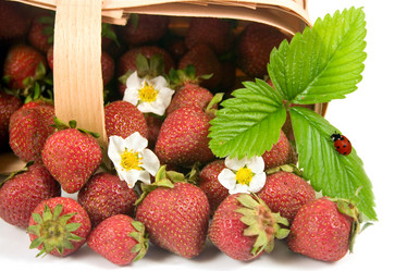 Similar image 1017221