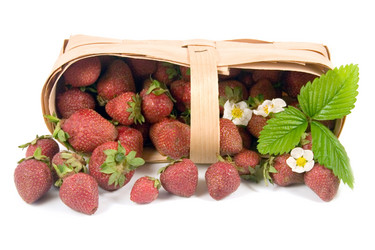 Similar image 1017223