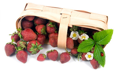 Similar image 1017224