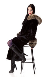 Similar image 1017225