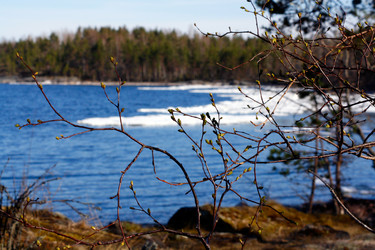 Similar image 1017231