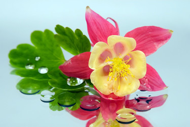 Similar image 1017263