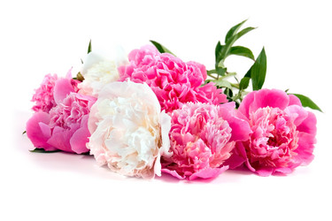 Similar image 1017270