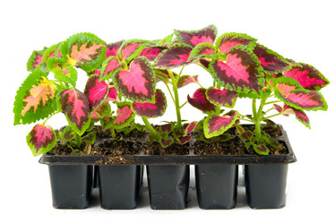 Similar image 1017302