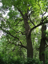 Similar image 1017306