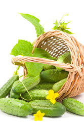 Similar image 1017343