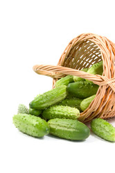 Similar image 1017345