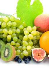 Similar image 1017364