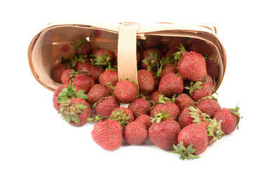 Similar image 1017396