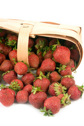 Similar image 1017397