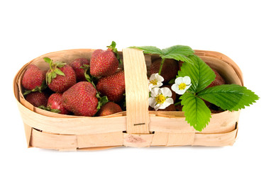 Similar image 1017400