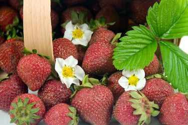 Similar image 1017401