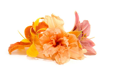 Similar image 1017405