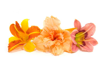 Similar image 1017406