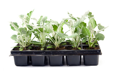 Similar image 1017421