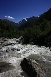 Similar image 1017460