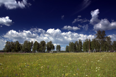 Similar image 1017471