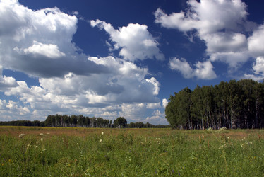 Similar image 1017472