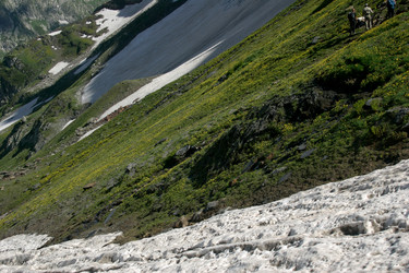 Similar image 1017480