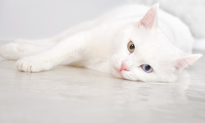 Similar image 1017488