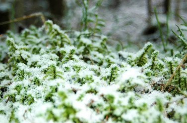 Similar image 1017495