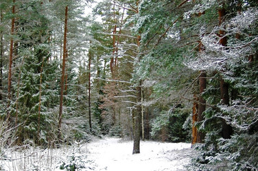 Similar image 1017500