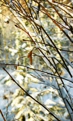 Similar image 1017501