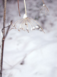 Similar image 1017504