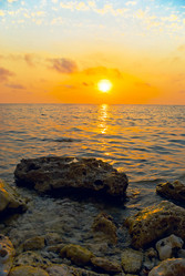 Similar image 1017520