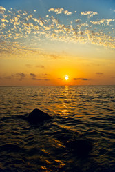 Similar image 1017521