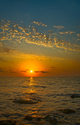 Similar image 1017529