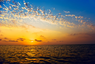 Similar image 1017558