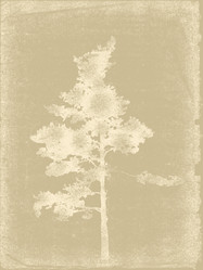 Similar image 1017567