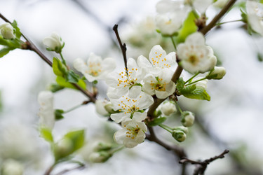 Similar image 1017649