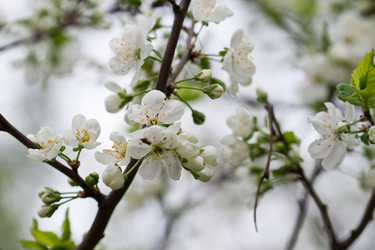 Similar image 1017650