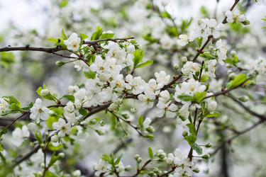 Similar image 1017651