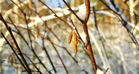 Similar image 1017655