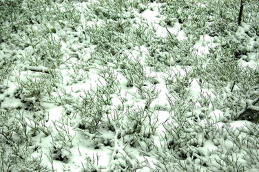 Similar image 1017657