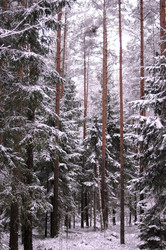 Similar image 1017659