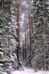 Similar image 1017660