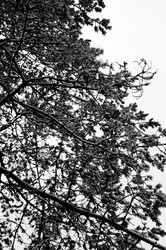 Similar image 1017661