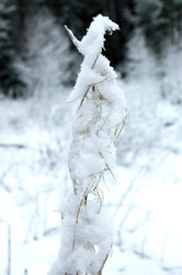 Similar image 1017663