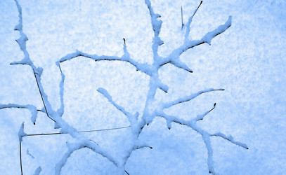 Similar image 1017664